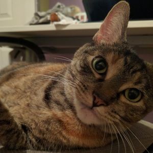 Meet your Posher, Daniella